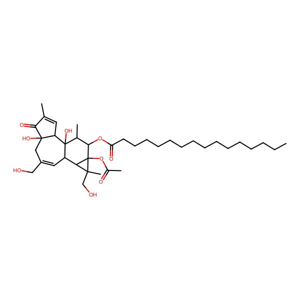 2D Structure of [(1S,2S,6R,10S,11R,12R,13S,14R,15R)-13-acetyloxy-1,6-dihydroxy-8,12-bis(hydroxymethyl)-4,12,15-trimethyl-5-oxo-14-tetracyclo[8.5.0.02,6.011,13]pentadeca-3,8-dienyl] hexadecanoate