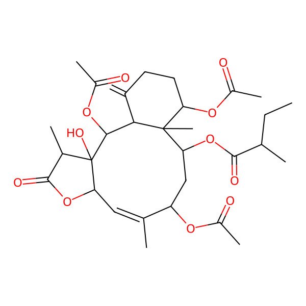 2D Structure of [(1S,2S,3S,4R,7S,8Z,10R,12S,13R,14S)-2,10,14-triacetyloxy-3-hydroxy-4,9,13-trimethyl-17-methylidene-5-oxo-6-oxatricyclo[11.4.0.03,7]heptadec-8-en-12-yl] (2R)-2-methylbutanoate