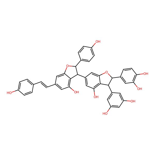 2D Structure of 4-[(2S,3R)-3-(3,5-dihydroxyphenyl)-4-hydroxy-6-[(2R,3S)-4-hydroxy-2-(4-hydroxyphenyl)-6-[(E)-2-(4-hydroxyphenyl)ethenyl]-2,3-dihydro-1-benzofuran-3-yl]-2,3-dihydro-1-benzofuran-2-yl]benzene-1,2-diol