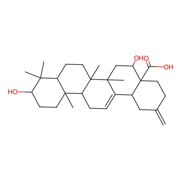 2D Structure of 5,10-Dihydroxy-6a,6b,9,9,12a-pentamethyl-2-methylidene-1,3,4,5,6,6a,7,8,8a,10,11,12,13,14b-tetradecahydropicene-4a-carboxylic acid