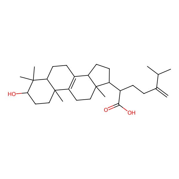 2D Structure of 2-(3-Hydroxy-4,4,10,13-tetramethyl-1,2,3,5,6,7,11,12,14,15,16,17-dodecahydrocyclopenta[a]phenanthren-17-yl)-6-methyl-5-methylideneheptanoic acid