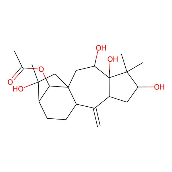 2D Structure of [(1S,3R,4S,6R,8S,10S,13R,14R,16S)-3,4,6,14-tetrahydroxy-5,5,14-trimethyl-9-methylidene-16-tetracyclo[11.2.1.01,10.04,8]hexadecanyl] acetate