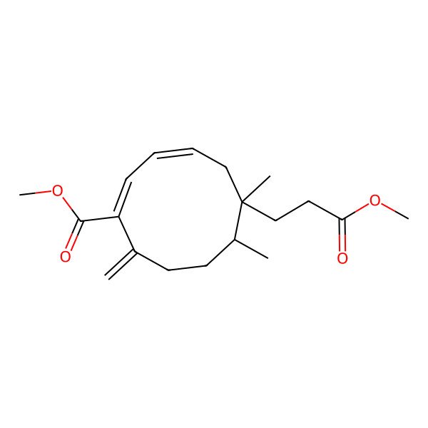 2D Structure of methyl (1E,3Z,6R,7R)-6-(3-methoxy-3-oxopropyl)-6,7-dimethyl-10-methylidenecyclodeca-1,3-diene-1-carboxylate 2D Structure of methyl (1E,3Z,6R,7R)-6-(3-methoxy-3-oxopropyl)-6,7-dimethyl-10-methylidenecyclodeca-1,3-diene-1-carboxylate