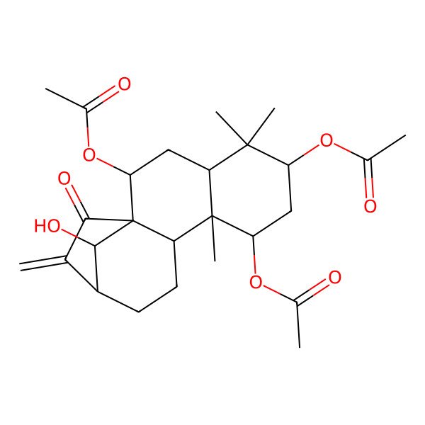 2D Structure of (6,8-Diacetyloxy-16-hydroxy-5,5,9-trimethyl-14-methylidene-15-oxo-2-tetracyclo[11.2.1.01,10.04,9]hexadecanyl) acetate