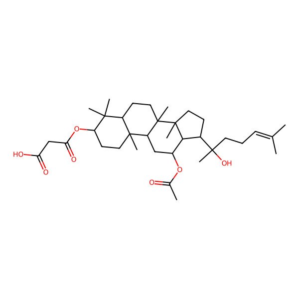 2D Structure of 3-[[(3R,5R,8R,9R,10R,12R,13R,14R,17S)-12-acetyloxy-17-[(2S)-2-hydroxy-6-methylhept-5-en-2-yl]-4,4,8,10,14-pentamethyl-2,3,5,6,7,9,11,12,13,15,16,17-dodecahydro-1H-cyclopenta[a]phenanthren-3-yl]oxy]-3-oxopropanoic acid