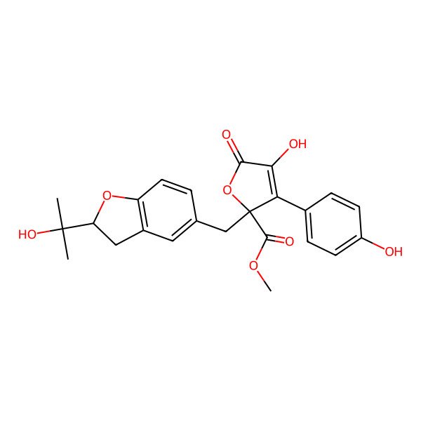2D Structure of methyl (2R)-4-hydroxy-3-(4-hydroxyphenyl)-2-[[(2S)-2-(2-hydroxypropan-2-yl)-2,3-dihydro-1-benzofuran-5-yl]methyl]-5-oxofuran-2-carboxylate
