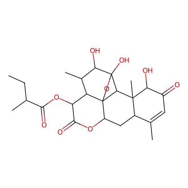 2D Structure of [(1S,4R,5R,6R,7S,8R,11R,13S,17S,18S,19R)-4,5,17-trihydroxy-6,14,18-trimethyl-9,16-dioxo-3,10-dioxapentacyclo[9.8.0.01,7.04,19.013,18]nonadec-14-en-8-yl] (2S)-2-methylbutanoate