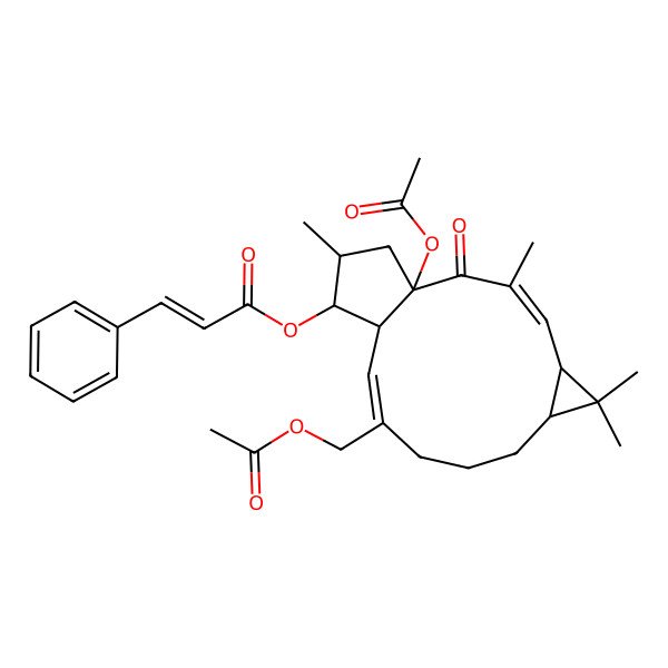 2D Structure of [(1R,3E,5R,7S,11Z,13S,14S,15S)-1-acetyloxy-11-(acetyloxymethyl)-3,6,6,15-tetramethyl-2-oxo-14-tricyclo[11.3.0.05,7]hexadeca-3,11-dienyl] (E)-3-phenylprop-2-enoate