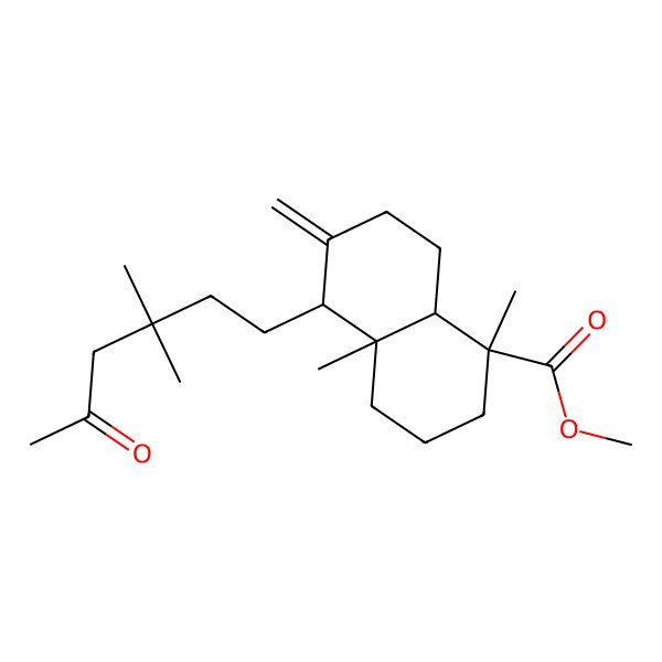 2D Structure of methyl (1S,4aR,5S,8aR)-5-(3,3-dimethyl-5-oxohexyl)-1,4a-dimethyl-6-methylidene-3,4,5,7,8,8a-hexahydro-2H-naphthalene-1-carboxylate 2D Structure of methyl (1S,4aR,5S,8aR)-5-(3,3-dimethyl-5-oxohexyl)-1,4a-dimethyl-6-methylidene-3,4,5,7,8,8a-hexahydro-2H-naphthalene-1-carboxylate