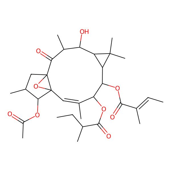 2D Structure of [(1R,3R,4R,5R,7S,8S,9R,10E,12S,13S,14S)-13-acetyloxy-4-hydroxy-3,6,6,10,14-pentamethyl-8-[(E)-2-methylbut-2-enoyl]oxy-2-oxo-16-oxatetracyclo[10.3.1.01,12.05,7]hexadec-10-en-9-yl] 2-methylbutanoate