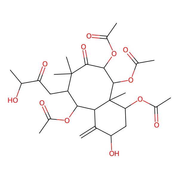 2D Structure of [5,9,10-Triacetyloxy-3-hydroxy-6-(3-hydroxy-2-oxobutyl)-7,7,10a-trimethyl-4-methylidene-8-oxo-1,2,3,4a,5,6,9,10-octahydrobenzo[8]annulen-1-yl] acetate