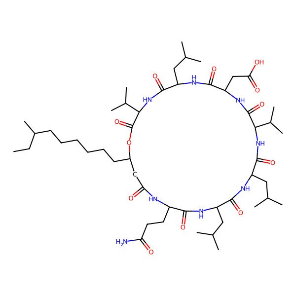 2D Structure of cyclo[DL-Asp-DL-Leu-DL-Val-ObAla(3-nonyl(7-Me))-DL-Gln-DL-Leu-DL-Leu-DL-Val]