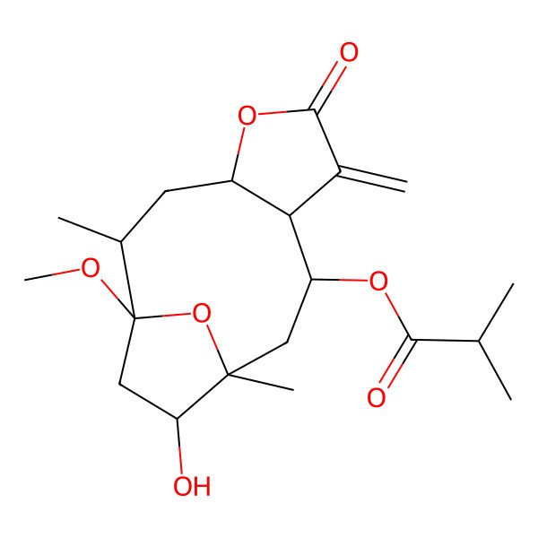 2D Structure of [(1R,2S,4R,8S,9R,11R,12R)-12-hydroxy-1-methoxy-2,11-dimethyl-7-methylidene-6-oxo-5,14-dioxatricyclo[9.2.1.04,8]tetradecan-9-yl] 2-methylpropanoate
