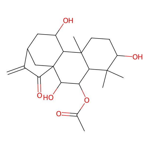 2D Structure of (2,6,11-Trihydroxy-5,5,9-trimethyl-14-methylidene-15-oxo-3-tetracyclo[11.2.1.01,10.04,9]hexadecanyl) acetate