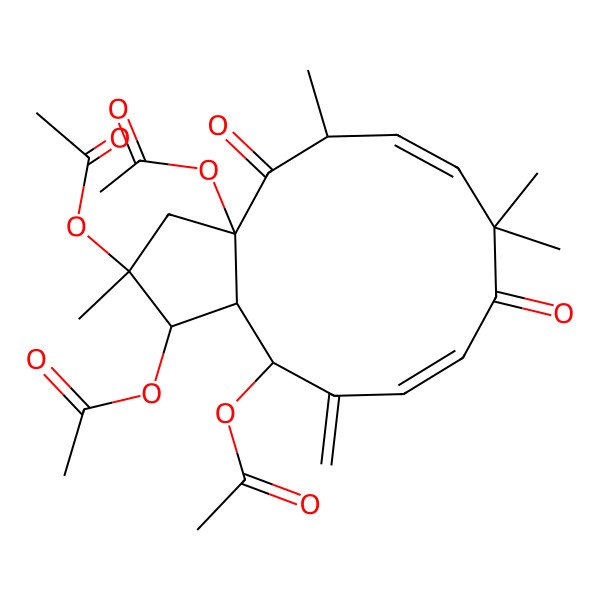 2D Structure of [(1R,2R,3aR,5R,6E,13R,13aS)-1,2,3a-triacetyloxy-2,5,8,8-tetramethyl-12-methylidene-4,9-dioxo-3,5,13,13a-tetrahydro-1H-cyclopenta[12]annulen-13-yl] acetate