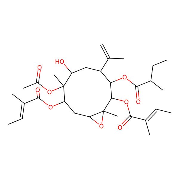 2D Structure of [7-Acetyloxy-6-hydroxy-1,7-dimethyl-2,8-bis(2-methylbut-2-enoyloxy)-4-prop-1-en-2-yl-11-oxabicyclo[8.1.0]undecan-3-yl] 2-methylbutanoate