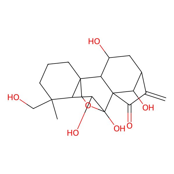 2D Structure of (1R,2S,3S,5S,8R,9S,10S,11R,12S,18R)-3,9,10,18-tetrahydroxy-12-(hydroxymethyl)-12-methyl-6-methylidene-17-oxapentacyclo[7.6.2.15,8.01,11.02,8]octadecan-7-one