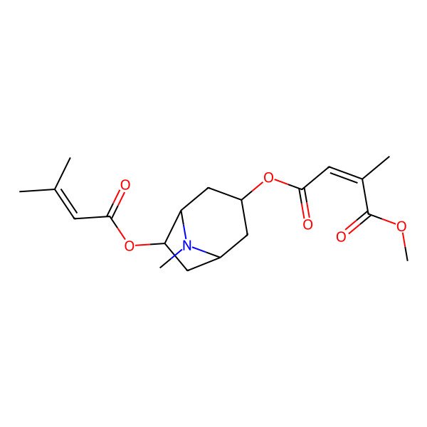 2D Structure of 1-O-methyl 4-O-[8-methyl-6-(3-methylbut-2-enoyloxy)-8-azabicyclo[3.2.1]octan-3-yl] 2-methylbut-2-enedioate