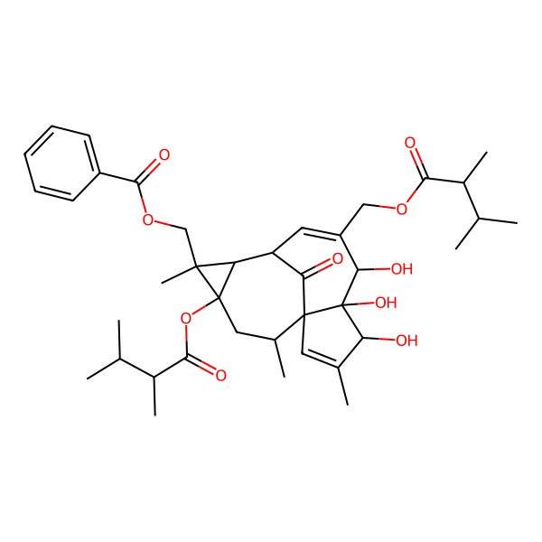 2D Structure of [12-(2,3-Dimethylbutanoyloxy)-7-(2,3-dimethylbutanoyloxymethyl)-4,5,6-trihydroxy-3,11,14-trimethyl-15-oxo-11-tetracyclo[7.5.1.01,5.010,12]pentadeca-2,7-dienyl]methyl benzoate