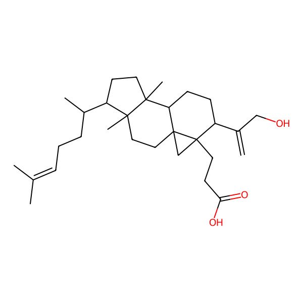 2D Structure of 3-[(1R,4S,5S,8R,9R,12S,13S)-12-(3-hydroxyprop-1-en-2-yl)-4,8-dimethyl-5-[(2S)-6-methylhept-5-en-2-yl]-13-tetracyclo[7.5.0.01,13.04,8]tetradecanyl]propanoic acid