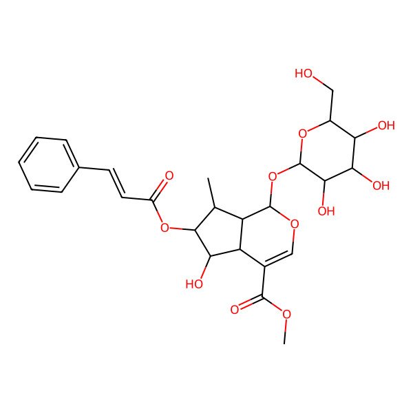 2D Structure of methyl (1S,4aS,5S,6R,7S,7aR)-5-hydroxy-7-methyl-6-[(E)-3-phenylprop-2-enoyl]oxy-1-[(2S,3R,4S,5S,6R)-3,4,5-trihydroxy-6-(hydroxymethyl)oxan-2-yl]oxy-1,4a,5,6,7,7a-hexahydrocyclopenta[c]pyran-4-carboxylate