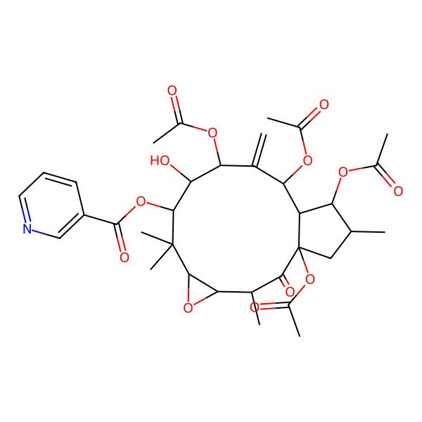 2D Structure of [(1R,3R,4S,6R,8R,9S,10S,12R,13R,14S,15S)-1,10,12,14-tetraacetyloxy-9-hydroxy-3,7,7,15-tetramethyl-11-methylidene-2-oxo-5-oxatricyclo[11.3.0.04,6]hexadecan-8-yl] pyridine-3-carboxylate