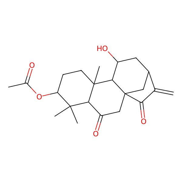 2D Structure of [(1S,4S,6S,9S,10S,11S,13S)-11-hydroxy-5,5,9-trimethyl-14-methylidene-3,15-dioxo-6-tetracyclo[11.2.1.01,10.04,9]hexadecanyl] acetate
