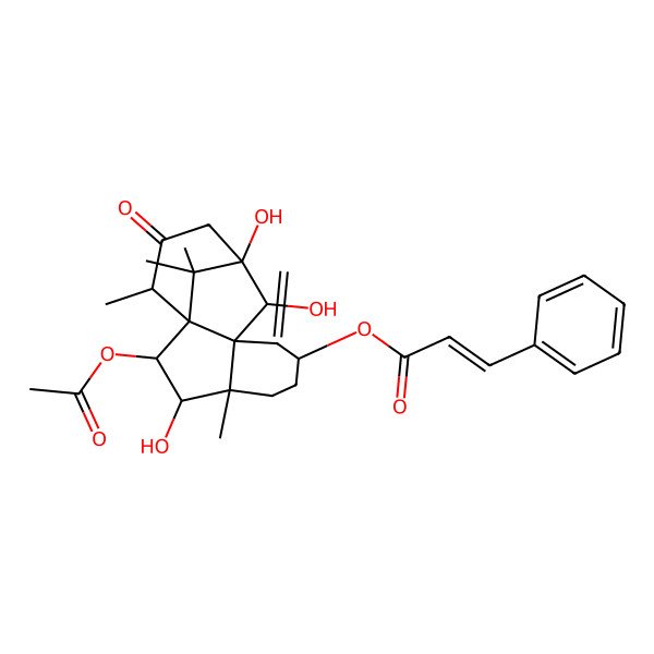 2D Structure of (2-Acetyloxy-3,10,11-trihydroxy-4,14,15,15-tetramethyl-8-methylidene-13-oxo-7-tetracyclo[9.3.1.01,9.04,9]pentadecanyl) 3-phenylprop-2-enoate
