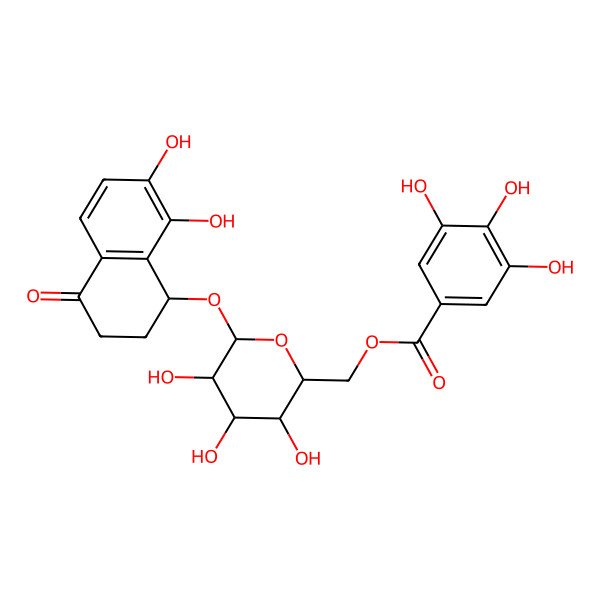 2D Structure of [(2R,3S,4S,5R,6R)-6-[[(1R)-7,8-dihydroxy-4-oxo-2,3-dihydro-1H-naphthalen-1-yl]oxy]-3,4,5-trihydroxyoxan-2-yl]methyl 3,4,5-trihydroxybenzoate