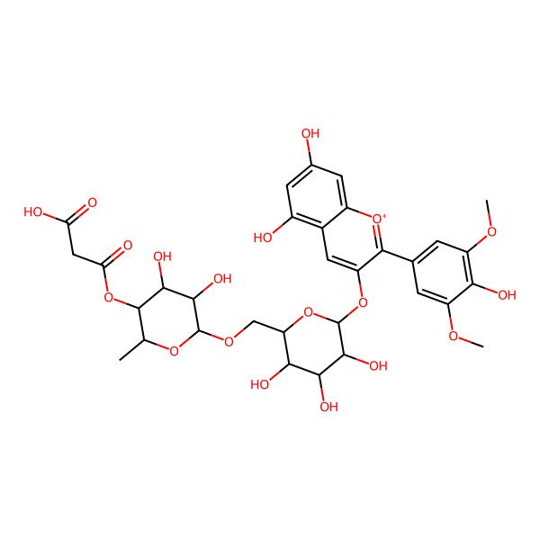 2D Structure of 3-[(2S,3R,4R,5S,6R)-6-[[(2R,3S,4S,5R,6S)-6-[5,7-dihydroxy-2-(4-hydroxy-3,5-dimethoxyphenyl)chromenylium-3-yl]oxy-3,4,5-trihydroxyoxan-2-yl]methoxy]-4,5-dihydroxy-2-methyloxan-3-yl]oxy-3-oxopropanoic acid