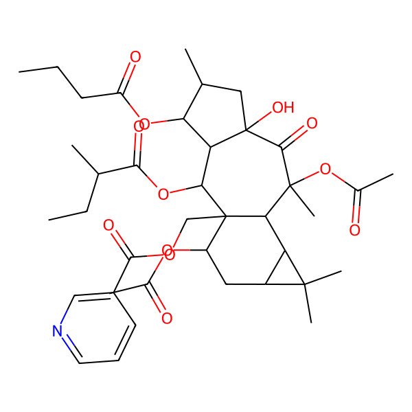2D Structure of [(1R,2R,3R,4S,5S,7R,9S,10R,11S,13S,15R)-9,15-diacetyloxy-4-butanoyloxy-7-hydroxy-5,9,12,12-tetramethyl-2-[(2R)-2-methylbutanoyl]oxy-8-oxo-1-tetracyclo[8.5.0.03,7.011,13]pentadecanyl]methyl pyridine-3-carboxylate