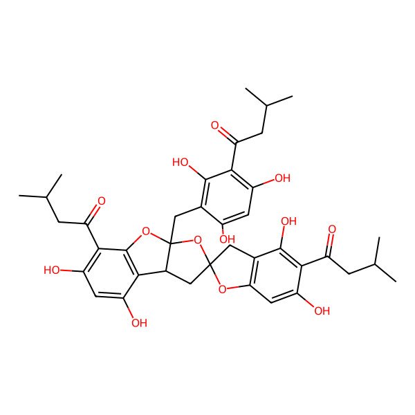 2D Structure of 3-methyl-1-[4',6,6',8-tetrahydroxy-5-(3-methylbutanoyl)-3a-[[2,4,6-trihydroxy-3-(3-methylbutanoyl)phenyl]methyl]spiro[1,8b-dihydrofuro[2,3-b][1]benzofuran-2,2'-3H-1-benzofuran]-5'-yl]butan-1-one