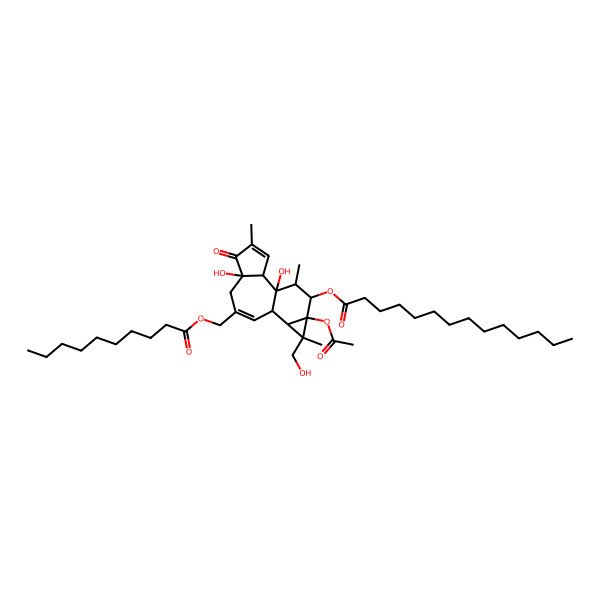 2D Structure of [13-Acetyloxy-8-(decanoyloxymethyl)-1,6-dihydroxy-12-(hydroxymethyl)-4,12,15-trimethyl-5-oxo-14-tetracyclo[8.5.0.02,6.011,13]pentadeca-3,8-dienyl] tetradecanoate