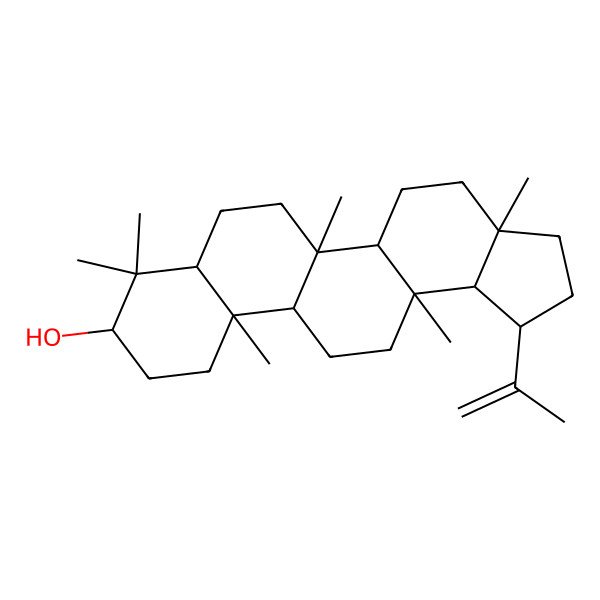 2D Structure of 3a,5b,8,8,11a,13a-Hexamethyl-1-prop-1-en-2-yl-1,2,3,4,5,5a,6,7,7a,9,10,11,11b,12,13,13b-hexadecahydrocyclopenta[a]chrysen-9-ol