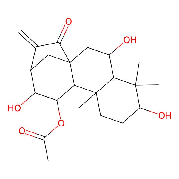 2D Structure of [(1S,3S,4S,6S,9R,10S,11R,12R,13R)-3,6,12-trihydroxy-5,5,9-trimethyl-14-methylidene-15-oxo-11-tetracyclo[11.2.1.01,10.04,9]hexadecanyl] acetate