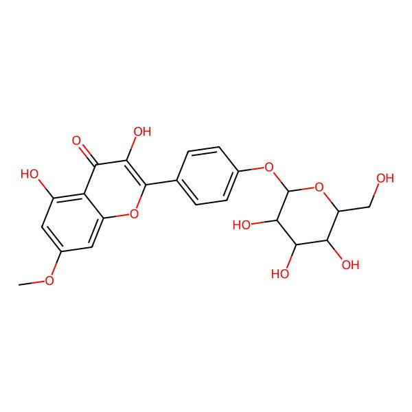 2D Structure of 3,5-dihydroxy-7-methoxy-2-[4-[(2S,3R,4R,5S,6R)-3,4,5-trihydroxy-6-(hydroxymethyl)oxan-2-yl]oxyphenyl]chromen-4-one