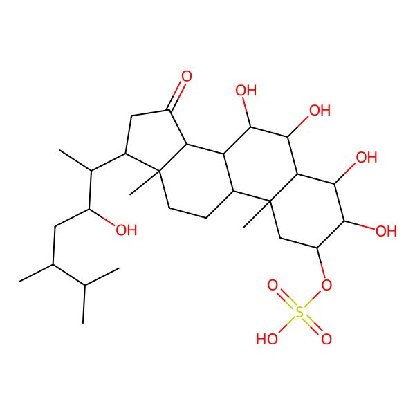 2D Structure of [(2S,3R,4S,5S,6R,7R,8R,9S,10R,13R,14R,17R)-3,4,6,7-tetrahydroxy-17-[(2S,3S,5R)-3-hydroxy-5,6-dimethylheptan-2-yl]-10,13-dimethyl-15-oxo-1,2,3,4,5,6,7,8,9,11,12,14,16,17-tetradecahydrocyclopenta[a]phenanthren-2-yl] hydrogen sulfate