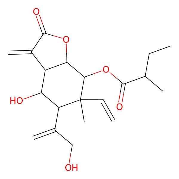 2D Structure of [(3aS,4R,5S,6S,7R,7aS)-6-ethenyl-4-hydroxy-5-(3-hydroxyprop-1-en-2-yl)-6-methyl-3-methylidene-2-oxo-4,5,7,7a-tetrahydro-3aH-1-benzofuran-7-yl] (2R)-2-methylbutanoate
