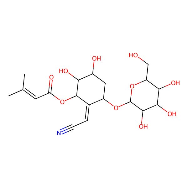 2D Structure of [2-(Cyanomethylidene)-5,6-dihydroxy-3-[3,4,5-trihydroxy-6-(hydroxymethyl)oxan-2-yl]oxycyclohexyl] 3-methylbut-2-enoate