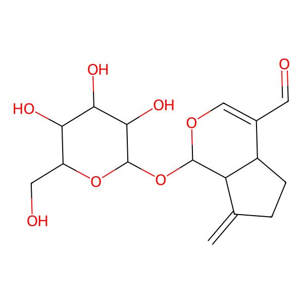 2D Structure of (1R,4aR,7aR)-7-methylidene-1-[(2S,3R,4S,5S,6R)-3,4,5-trihydroxy-6-(hydroxymethyl)oxan-2-yl]oxy-4a,5,6,7a-tetrahydro-1H-cyclopenta[c]pyran-4-carbaldehyde