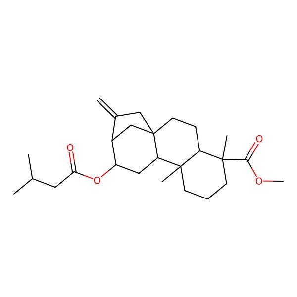 2D Structure of Methyl 5,9-dimethyl-12-(3-methylbutanoyloxy)-14-methylidenetetracyclo[11.2.1.01,10.04,9]hexadecane-5-carboxylate