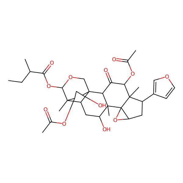 2D Structure of [(1S,2R,4R,5R,6S,8R,10S,11S,12R,14R,15R,16S,19S,21R)-4,21-diacetyloxy-6-(furan-3-yl)-12,19-dihydroxy-5,11,15-trimethyl-3-oxo-9,17-dioxahexacyclo[13.3.3.01,14.02,11.05,10.08,10]henicosan-16-yl] (2R)-2-methylbutanoate