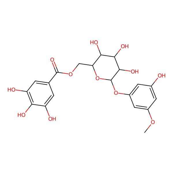 2D Structure of [(2R,3S,4S,5R,6S)-3,4,5-trihydroxy-6-(3-hydroxy-5-methoxyphenoxy)oxan-2-yl]methyl 3,4,5-trihydroxybenzoate