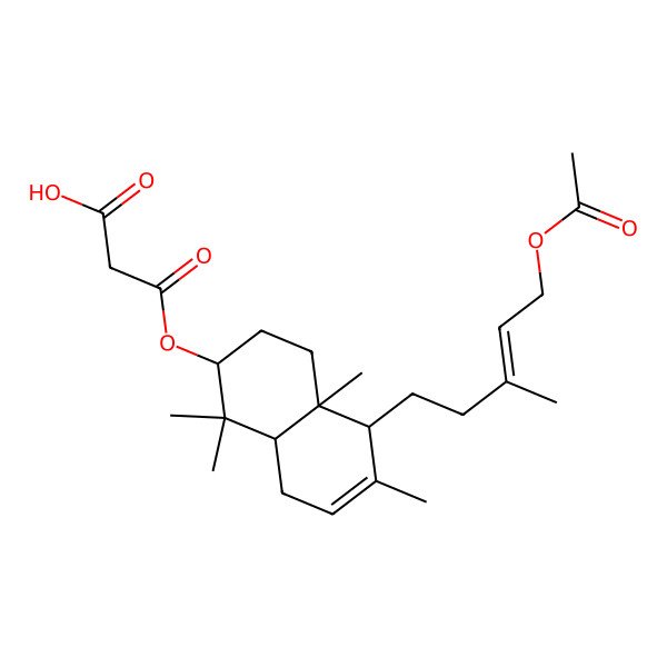 2D Structure of 3-[[(2S,4aS,5R,8aS)-5-[(E)-5-acetyloxy-3-methylpent-3-enyl]-1,1,4a,6-tetramethyl-2,3,4,5,8,8a-hexahydronaphthalen-2-yl]oxy]-3-oxopropanoic acid