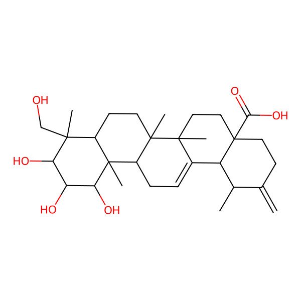 2D Structure of (1R,4aS,6aS,6aS,6bR,8aR,9S,10R,11R,12R,12aR,14bS)-10,11,12-trihydroxy-9-(hydroxymethyl)-1,6a,6b,9,12a-pentamethyl-2-methylidene-1,3,4,5,6,6a,7,8,8a,10,11,12,13,14b-tetradecahydropicene-4a-carboxylic acid 2D Structure of (1R,4aS,6aS,6aS,6bR,8aR,9S,10R,11R,12R,12aR,14bS)-10,11,12-trihydroxy-9-(hydroxymethyl)-1,6a,6b,9,12a-pentamethyl-2-methylidene-1,3,4,5,6,6a,7,8,8a,10,11,12,13,14b-tetradecahydropicene-4a-carboxylic acid
