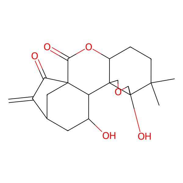 2D Structure of (1S,4S,8R,9R,12S,13R,14S,16S)-9,14-dihydroxy-7,7-dimethyl-17-methylidene-3,10-dioxapentacyclo[14.2.1.01,13.04,12.08,12]nonadecane-2,18-dione