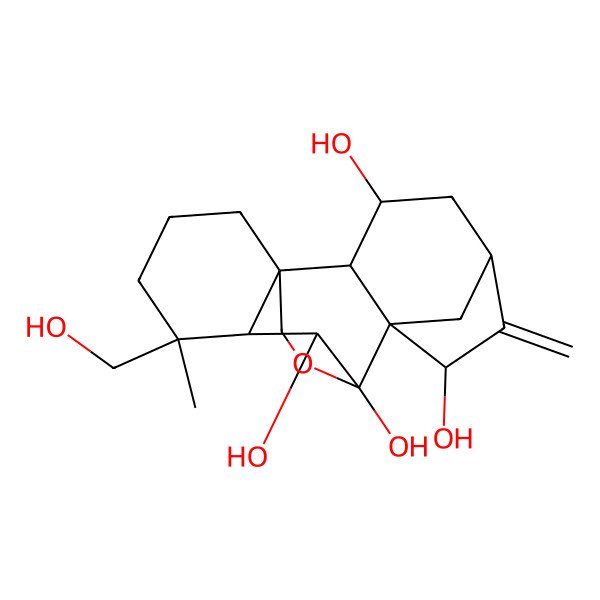 2D Structure of 12-(Hydroxymethyl)-12-methyl-6-methylidene-17-oxapentacyclo[7.6.2.15,8.01,11.02,8]octadecane-3,7,9,10-tetrol