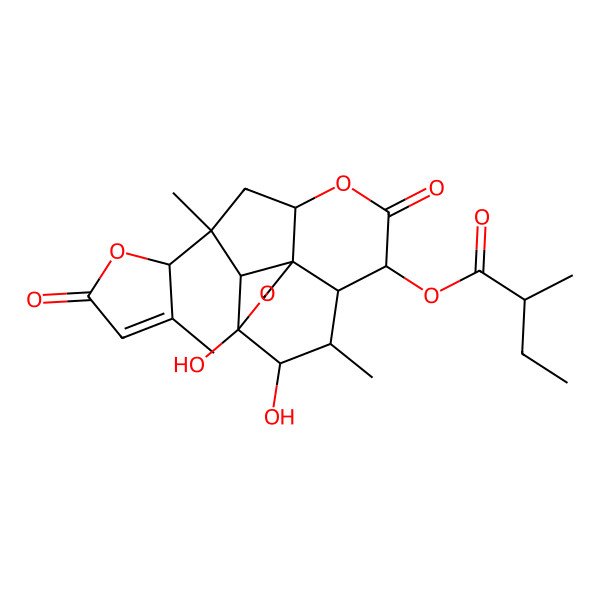 2D Structure of [11,12-dihydroxy-3,10-dimethyl-3-(3-methyl-5-oxo-2H-furan-2-yl)-7-oxo-6,13-dioxatetracyclo[7.5.0.01,5.02,12]tetradecan-8-yl] 2-methylbutanoate