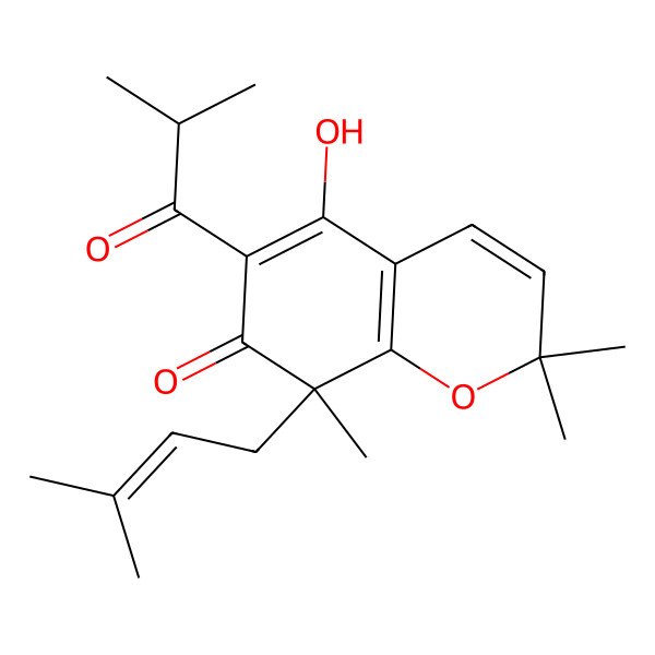 2D Structure of (8R)-5-hydroxy-2,2,8-trimethyl-8-(3-methylbut-2-enyl)-6-(2-methylpropanoyl)chromen-7-one 2D Structure of (8R)-5-hydroxy-2,2,8-trimethyl-8-(3-methylbut-2-enyl)-6-(2-methylpropanoyl)chromen-7-one