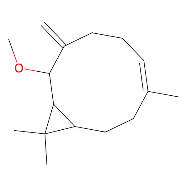 2D Structure of 9-Methoxy-4,11,11-trimethyl-8-methylidenebicyclo[8.1.0]undec-4-ene